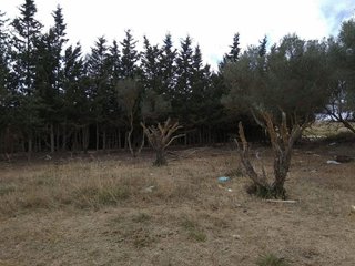 Solar en venta en Las Canteras - El Almendral en Puerto Real