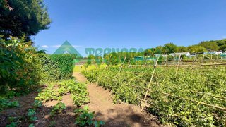 Terreno en venta en Barrios (Los)