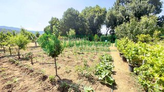 Terreno en venta en Barrios (Los)