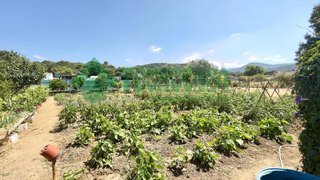 Terreno en venta en Barrios (Los)
