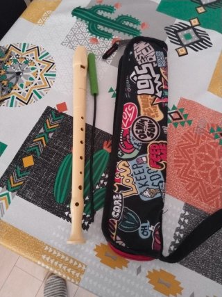 Flauta dulce para colegio