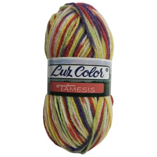 Lote 20 ovillos lana matizada 100g