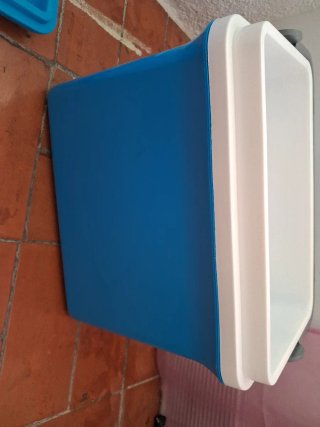 Nevera Spring grande + Enfriador de regalo