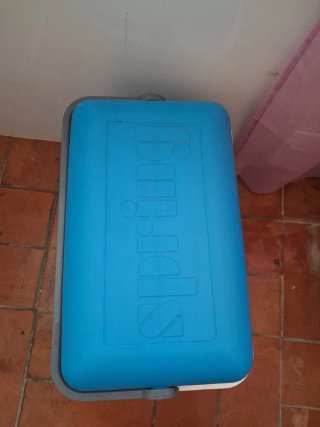 Nevera Spring grande + Enfriador de regalo