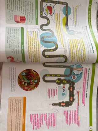 BIOLOGY & GEOLOGY 3 ESO WORLD MAKERS