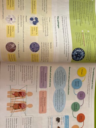 BIOLOGY & GEOLOGY 3 ESO WORLD MAKERS
