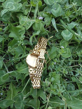 Reloj Omega Oro 18k 31,8 gr.