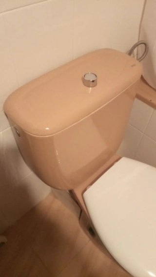Cisterna y tapa WC Roca Victoria Beige Bolero