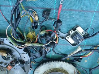 Plato de arranque Suzuki DT65