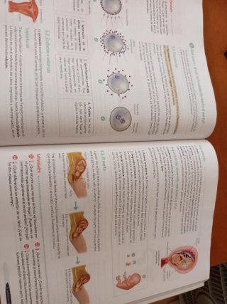 Biología y Geología 1º ESO. Libro del estudiant...