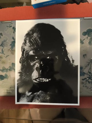 Dossier de prensa King Kong Dino De Laurentiis