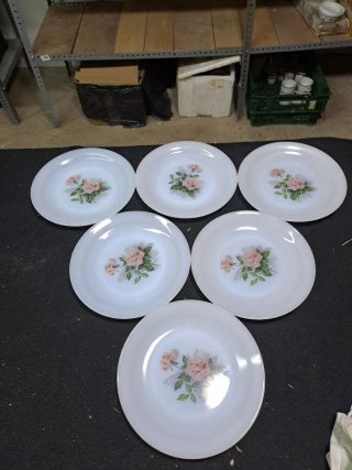 Lote 18 Platos Arcopal Flores Rosas y una bandeja