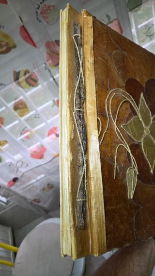 Álbum Fotos Artesanal Hojas Naturales