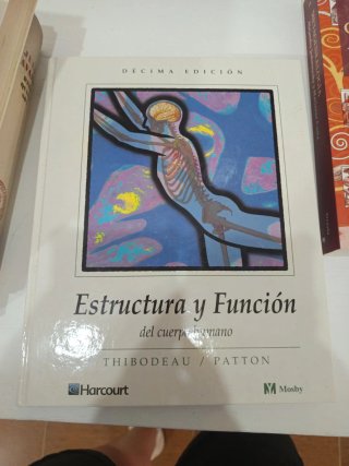 Estructura y Función del Cuerpo Humano