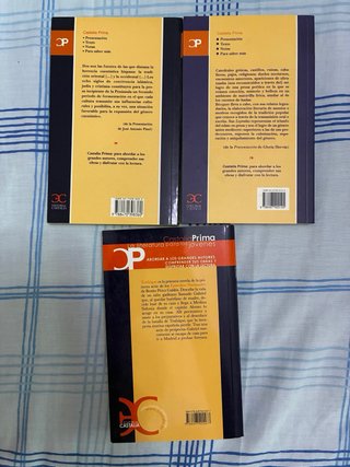 Lote 3 libros clásicos juveniles Castalia Prima.