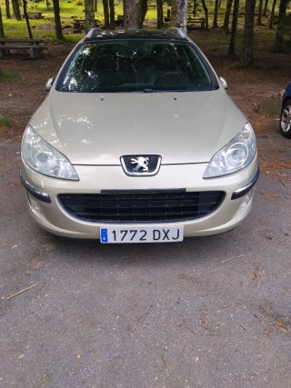 Peugeot 407 2006