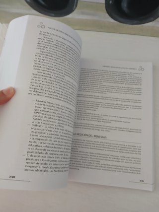 Libro Política económica Publica