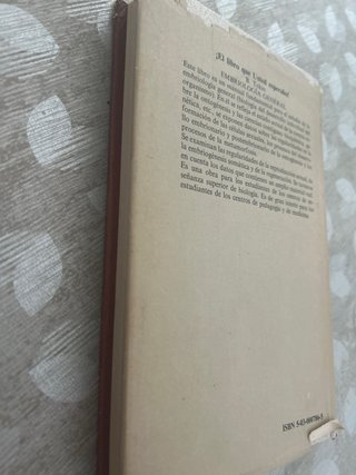 Enfermedades de la Nariz, Garganta y Oído
