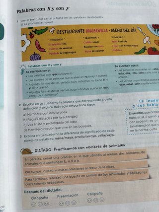 Lengua 6 Primaria : Operación Mundo