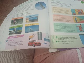 Libro Naturales 4 Primaria Santillana