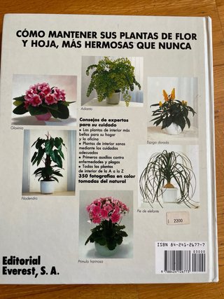 El gran libro de las plantas de interior consej...