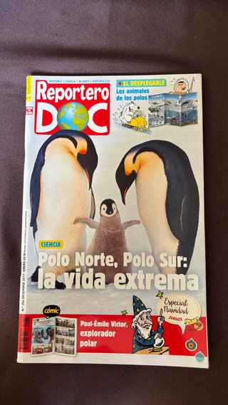 Coleccion de Revistas Reportero DOC