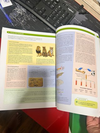 Biologia, 2 Batxillerat, Projecte Construint mons