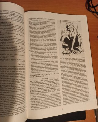 SEÑORES de la tierra media - Hobbits, enanos, e...