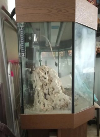 Acuario 240L completo con Eheim 2217 y accesorios