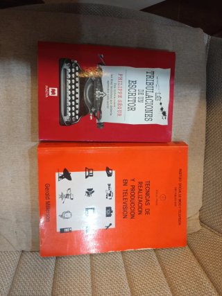 Las tribulaciones de un escritor Una novela sob...