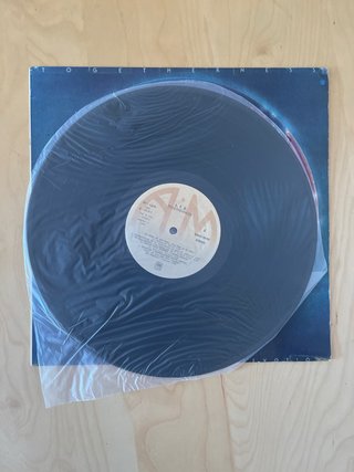 Vinilo L.T.D. - Togetherness