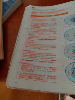 Biología, Geología y Ciencias Ambientales 1 Bachil