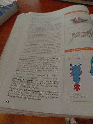Biología, Geología y Ciencias Ambientales 1 Bachil