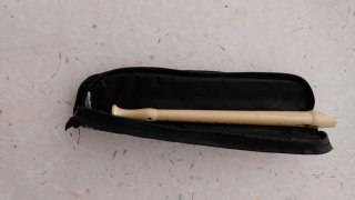 Estuche Flauta Valencia CF