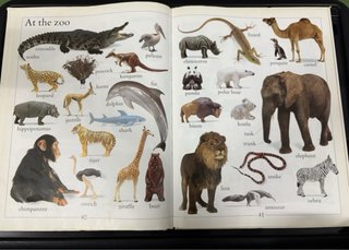 My First Word Book (Inglés)