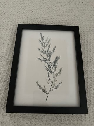 Cuadro Decorativo Rama Hoja