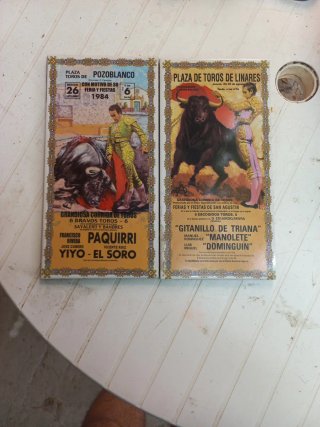 2 Adoquines Toros Pozo Blanco y Linares
