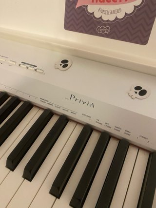 Piano Casio Privia PX-160