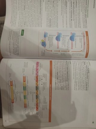 Biologia 2