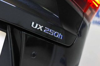 Lexus UX 2.0 250h Business