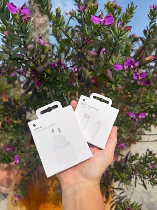 Apple Adattatore USB-C 20W + Cavo Lightning