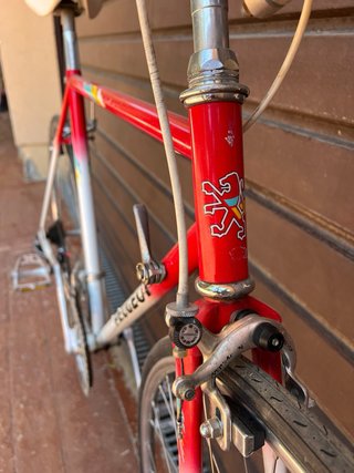 Bicicleta Carretera Peugeot T.54 Clásica