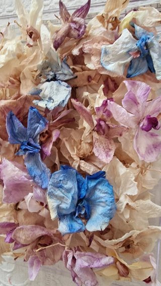 Cofanetto con orchidee secche