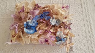 Cofanetto con orchidee secche