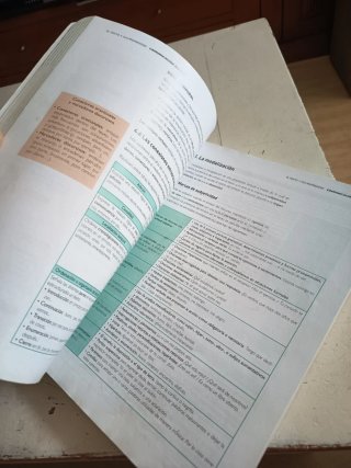 Lengua castellana y literatura 1, Le Bachillerato