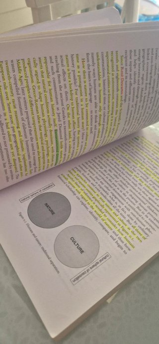 An Environmental History of Medieval Europe