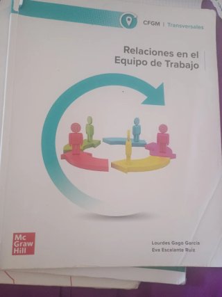Relaciones en el equipo de trabajo Grado Medio