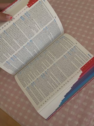 Diccionario Avanzado Primaria. Lengua española