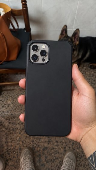 iPhone 12 Pro Max 256GB Grafito