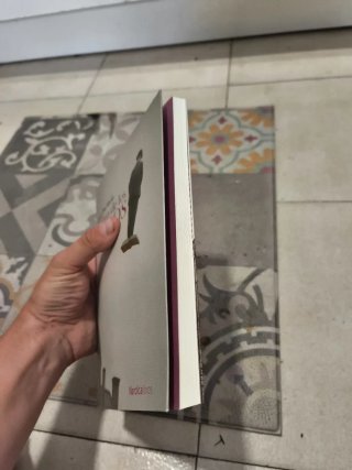 EL libro de los libros (sobre el rye visual)